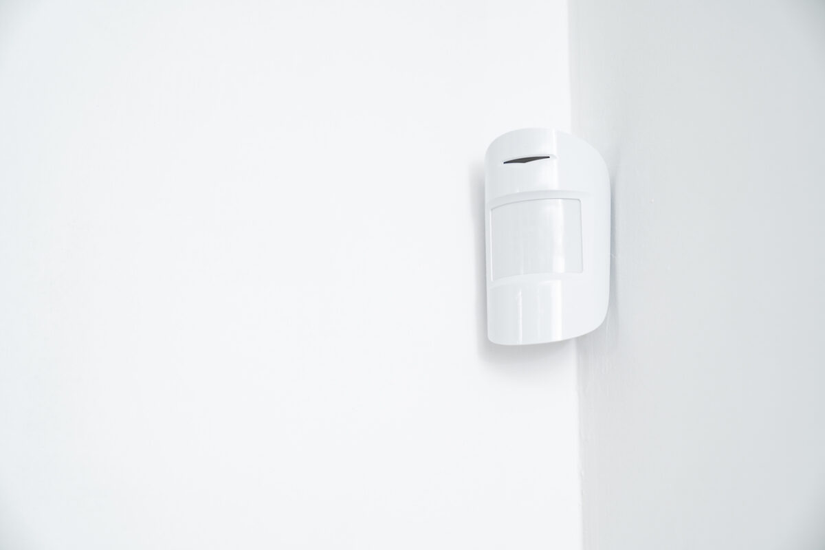 Can a spider set off a burglar alarm system? Find out the answer